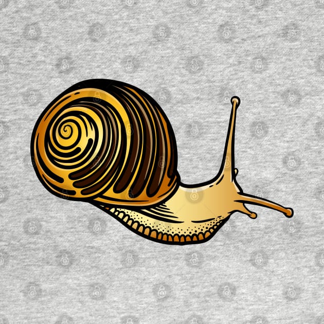 Snail by Sticker Steve